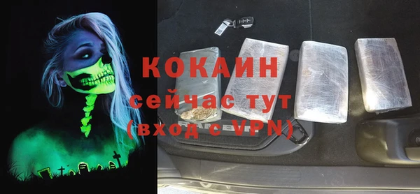 стафф Алексин