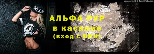 гидра Алзамай