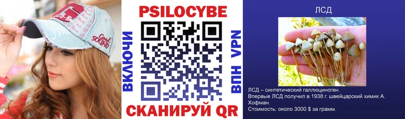 Галлюциногенные грибы GOLDEN TEACHER  Пустошка 